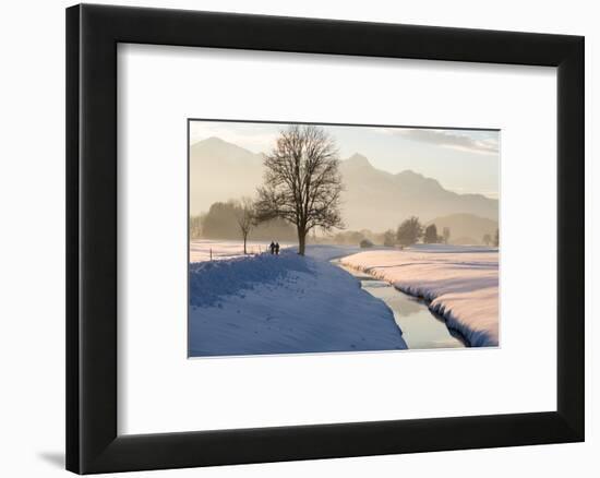 Winter walk in the Chiemgau region, Bergener Moos-Christine Meder stage-art.de-Framed Photographic Print