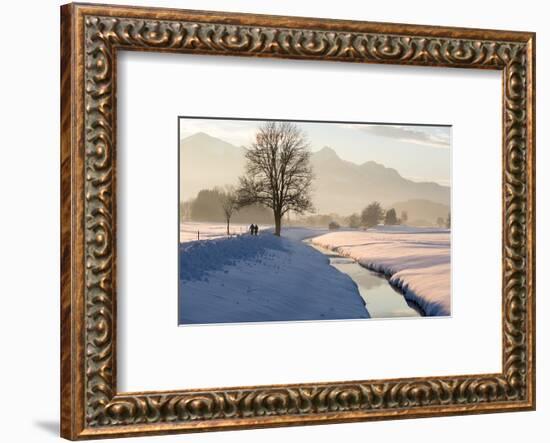 Winter walk in the Chiemgau region, Bergener Moos-Christine Meder stage-art.de-Framed Photographic Print