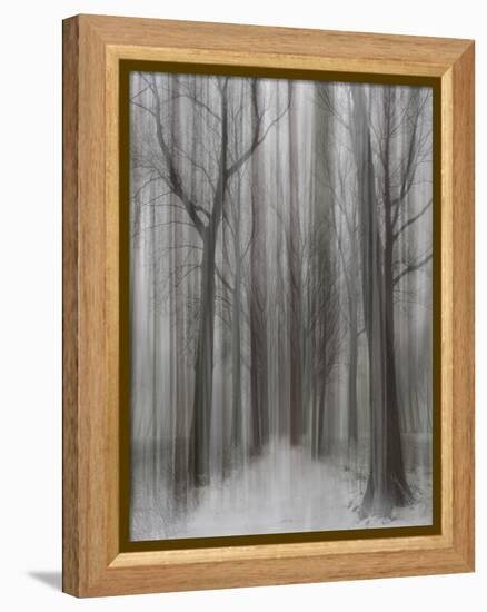 Winter Walz-Yvette Depaepe-Framed Premier Image Canvas