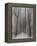 Winter Walz-Yvette Depaepe-Framed Premier Image Canvas