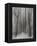 Winter Walz-Yvette Depaepe-Framed Premier Image Canvas