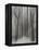 Winter Walz-Yvette Depaepe-Framed Premier Image Canvas