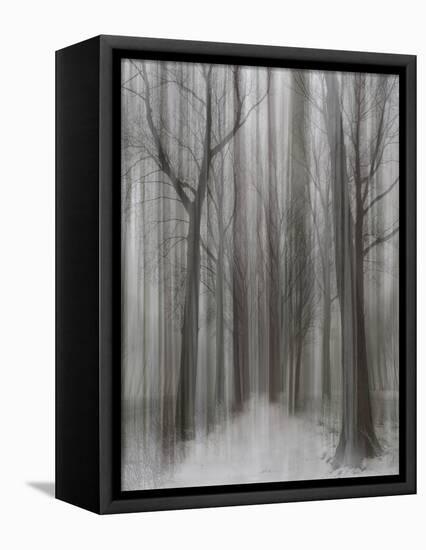 Winter Walz-Yvette Depaepe-Framed Premier Image Canvas