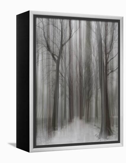 Winter Walz-Yvette Depaepe-Framed Premier Image Canvas