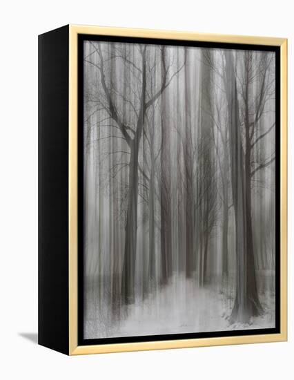 Winter Walz-Yvette Depaepe-Framed Premier Image Canvas