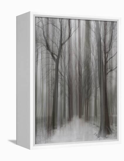 Winter Walz-Yvette Depaepe-Framed Premier Image Canvas