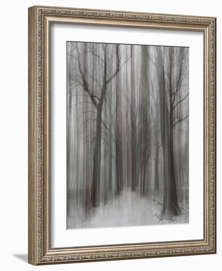 Winter Walz-Yvette Depaepe-Framed Photographic Print