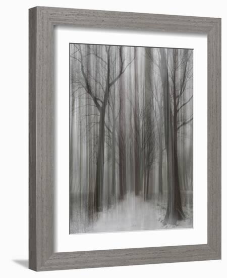 Winter Walz-Yvette Depaepe-Framed Photographic Print