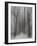 Winter Walz-Yvette Depaepe-Framed Photographic Print