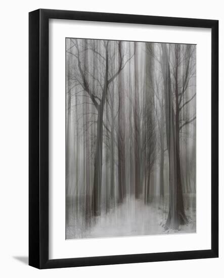 Winter Walz-Yvette Depaepe-Framed Photographic Print