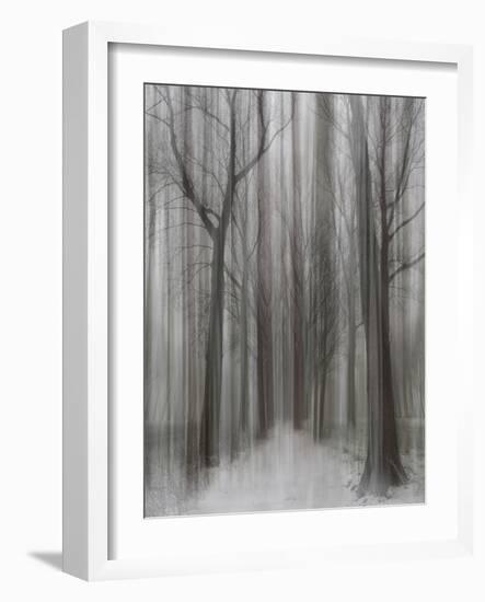 Winter Walz-Yvette Depaepe-Framed Photographic Print