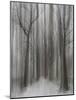 Winter Walz-Yvette Depaepe-Mounted Photographic Print