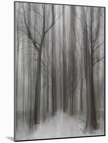 Winter Walz-Yvette Depaepe-Mounted Photographic Print