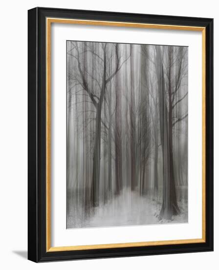 Winter Walz-Yvette Depaepe-Framed Photographic Print