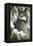 Winter Watch - Great Horned Owl-Wilhelm Goebel-Framed Premier Image Canvas
