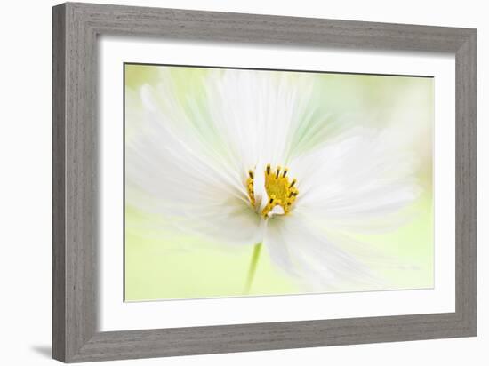 Winter White-Jacky Parker-Framed Giclee Print