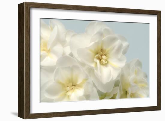 Winter Whites-Julie Greenwood-Framed Art Print