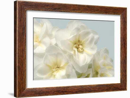 Winter Whites-Julie Greenwood-Framed Art Print