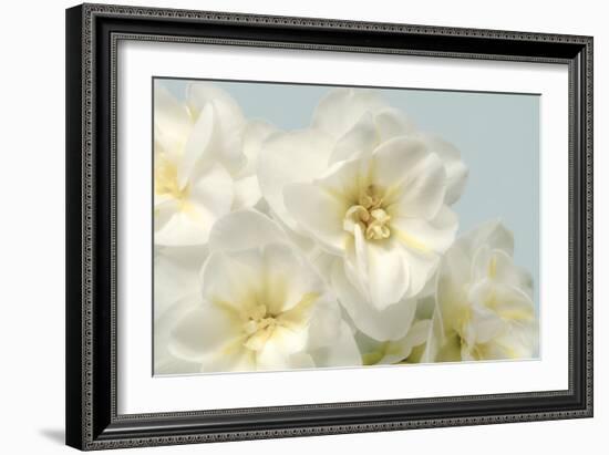 Winter Whites-Julie Greenwood-Framed Art Print