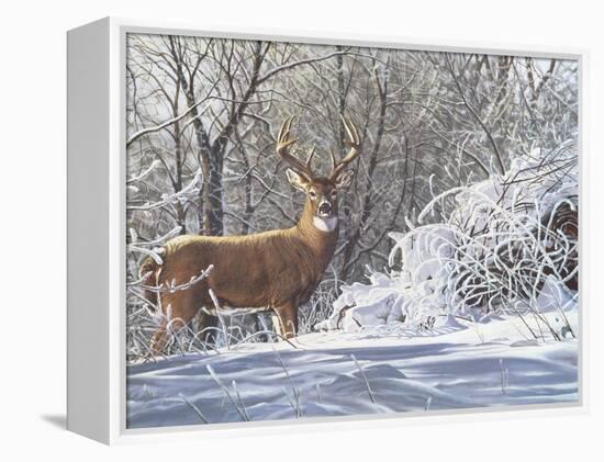 Winter Whitetail-Bruce Miller-Framed Premier Image Canvas