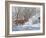 Winter Whitetail-Bruce Miller-Framed Giclee Print