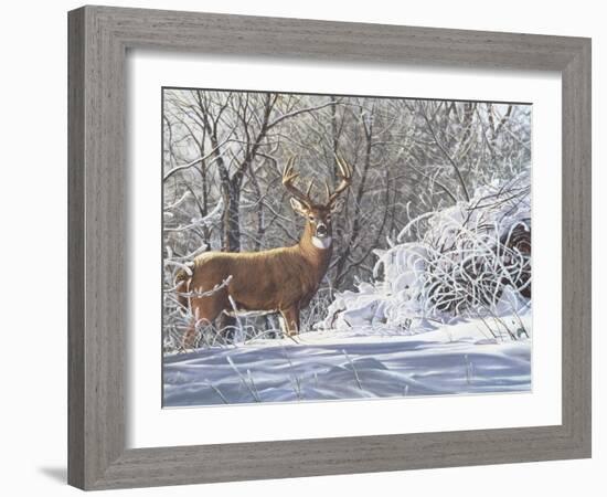 Winter Whitetail-Bruce Miller-Framed Giclee Print