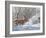 Winter Whitetail-Bruce Miller-Framed Giclee Print