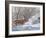 Winter Whitetail-Bruce Miller-Framed Giclee Print