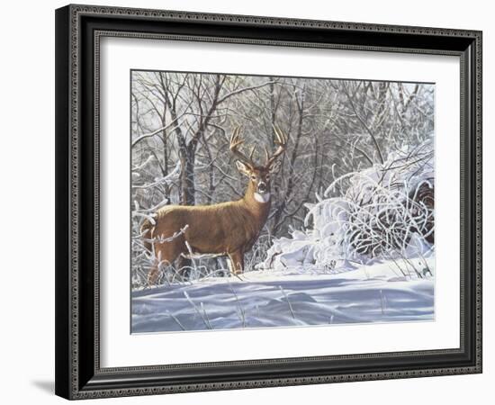 Winter Whitetail-Bruce Miller-Framed Giclee Print