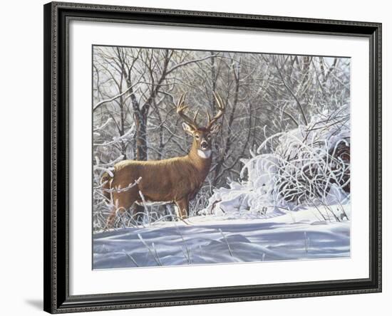 Winter Whitetail-Bruce Miller-Framed Giclee Print