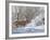 Winter Whitetail-Bruce Miller-Framed Giclee Print