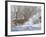 Winter Whitetail-Bruce Miller-Framed Giclee Print