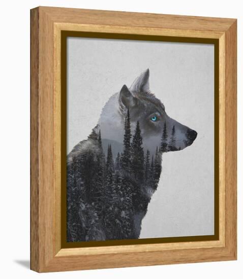 Winter Wolf-Davies Babies-Framed Stretched Canvas
