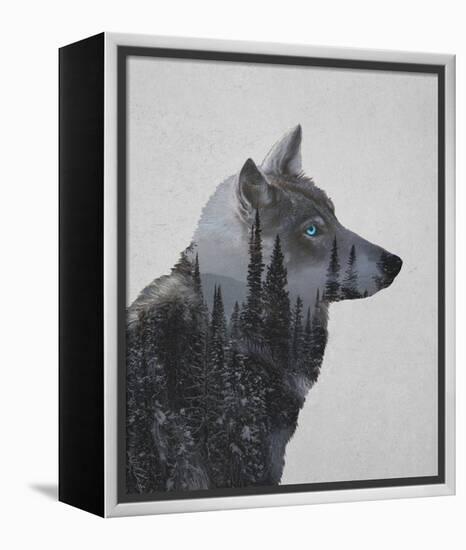 Winter Wolf-Davies Babies-Framed Stretched Canvas