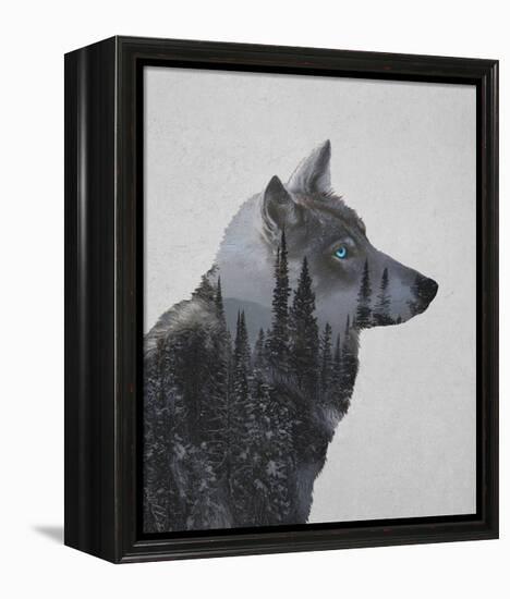 Winter Wolf-Davies Babies-Framed Stretched Canvas