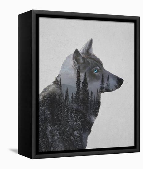 Winter Wolf-Davies Babies-Framed Stretched Canvas