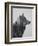 Winter Wolf-Davies Babies-Framed Premium Giclee Print