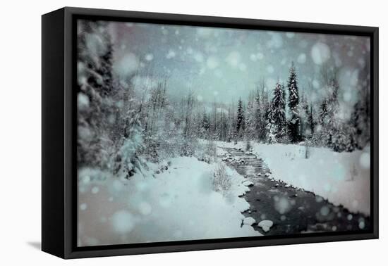 Winter Wonderland I-Elizabeth Urquhart-Framed Stretched Canvas