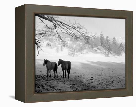 Winter Wonderland: Snow Scene in the Lake District, January 1946-null-Framed Premier Image Canvas
