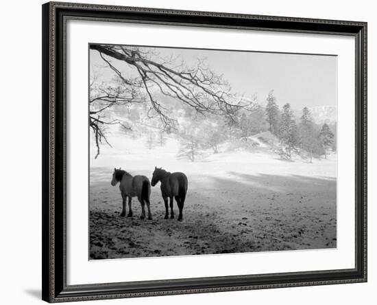 Winter Wonderland: Snow Scene in the Lake District, January 1946-null-Framed Photographic Print