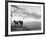 Winter Wonderland: Snow Scene in the Lake District, January 1946-null-Framed Photographic Print