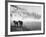 Winter Wonderland: Snow Scene in the Lake District, January 1946-null-Framed Photographic Print