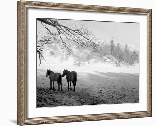 Winter Wonderland: Snow Scene in the Lake District, January 1946-null-Framed Photographic Print