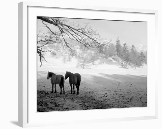 Winter Wonderland: Snow Scene in the Lake District, January 1946-null-Framed Photographic Print