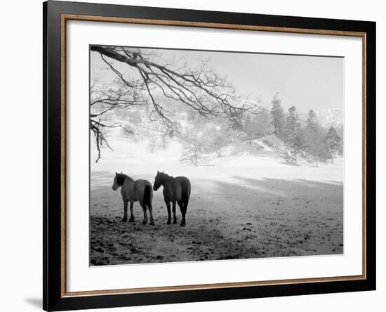 Winter Wonderland: Snow Scene in the Lake District, January 1946-null-Framed Photographic Print