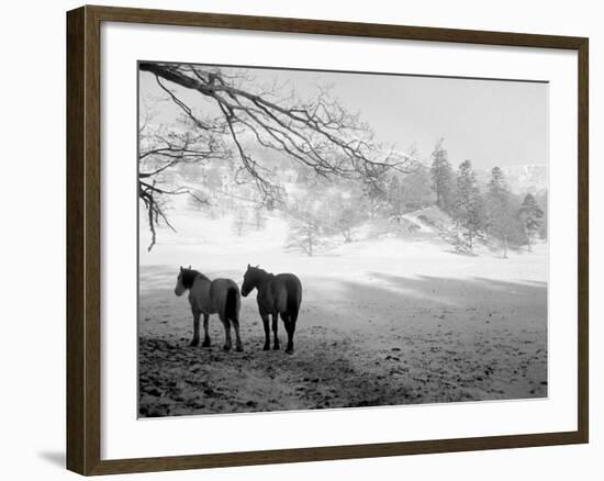 Winter Wonderland: Snow Scene in the Lake District, January 1946--Framed Photographic Print