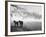 Winter Wonderland: Snow Scene in the Lake District, January 1946-null-Framed Photographic Print