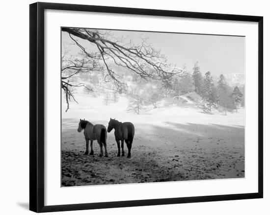 Winter Wonderland: Snow Scene in the Lake District, January 1946-null-Framed Photographic Print