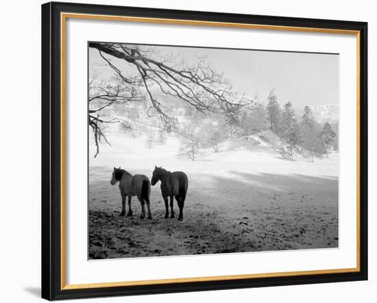 Winter Wonderland: Snow Scene in the Lake District, January 1946-null-Framed Photographic Print