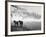 Winter Wonderland: Snow Scene in the Lake District, January 1946-null-Framed Photographic Print